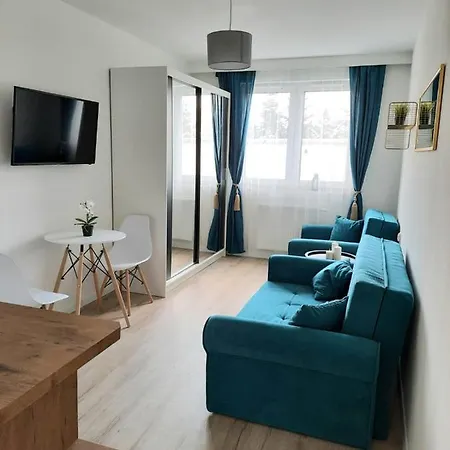 Vip Apartament * 克拉科夫